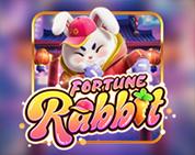 Fortune Rabbit